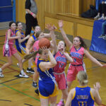 Pink Game helps raise money for cancer research