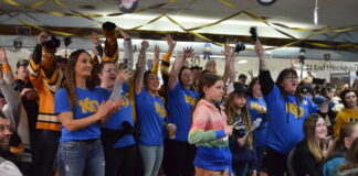 Wolseley runner-up for Kraft Hockeyville contest