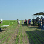 Field Day provides insight to projects at IHARF