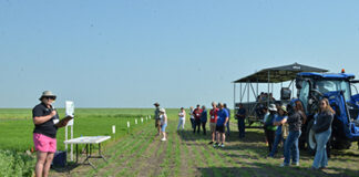 Field Day provides insight to projects at IHARF