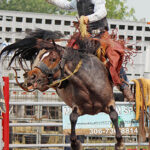 Cowboys find different ways to chase their rodeo dream