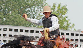 Cowboys find different ways to chase their rodeo dream