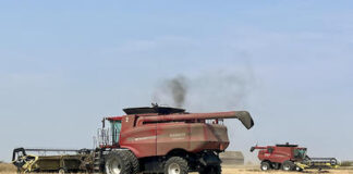 Harvesting hope for food insecurity