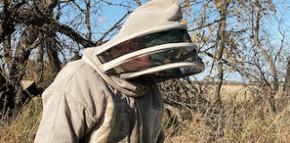Getting all the buzz on beekeeping near Francis