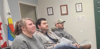 Pitch made for intra-municipal recreation board