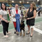 Local teen dog handler going to Nationals