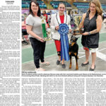 Whitewood-Grenfell Herald-Sun – May 23, 2025
