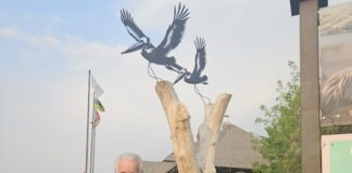 New steel sculpture to be a boost for Fort Qu’Appelicans