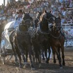 Outrider says his success brought him full circle