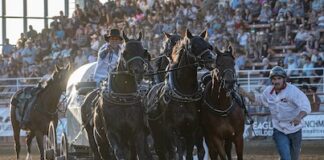 Outrider says his success brought him full circle