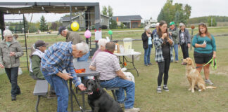The leashes were off at Bark Park official opening