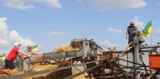 Experiencing prairie history at Wilson ‘Old Tyme Harvest’