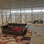 Doggy Dreams Ranch Resort opens north of Whitewood