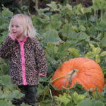 Pumpkin patch was a busy place last weekend
