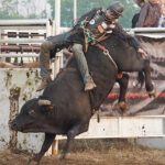 Grenfell’s Ozirney brothers ride for glory at Bull Riders Canada finals