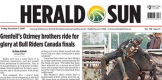 Whitewood-Grenfell Herald-Sun – November 7, 2025