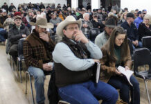 Town hall draws 300 producers over CFIA traceability concerns