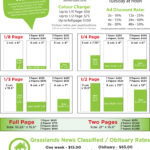 Page Sizes and Costs (2026)