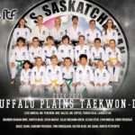 Balgonie Taekwon-Do Club looking to expand membership