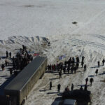 Buffalo set free on Cowessess First Nation