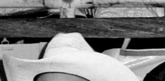 STEVENSON – Douglas A.