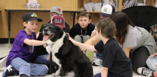 Wellness Day in Kennedy Langbank School