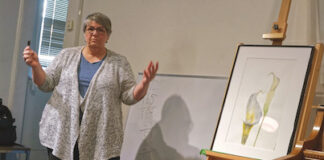 Arts centre sees rising participation, stronger community ties