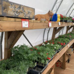 Improved weather gets gardeners going