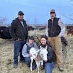 Generational farming alive and well on Odessa farm