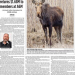 Whitewood-Grenfell Herald-Sun – May 29, 2026