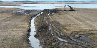 Local farmers call for harsher penalties for illegal drainage