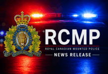 Lumsden RCMP investigating fatal collision