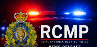 Lumsden RCMP investigating fatal collision