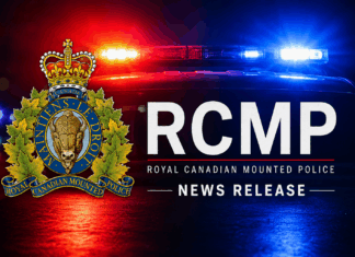 Lumsden RCMP investigating fatal collision