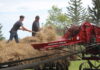 Kipling and District Historical Society Threshing Bee could become an annual tradition