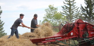 Kipling and District Historical Society Threshing Bee could become an annual tradition