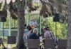 Local talent shines at Music in the Park