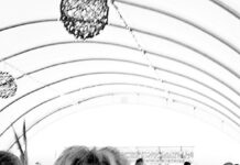 CYR – Jann (Janet Diane) “Grandmother Rock”