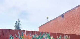 Murals bring vibrant colour to public spaces