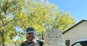 A new feature is appearing in Kipling’s Bell Park